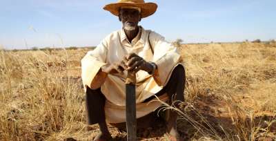 Изменение климата ощущается в Сахеле более, чем в других регионах мира. На фото: фермер в Нигере. Фото ООН/Ф.Бехан.