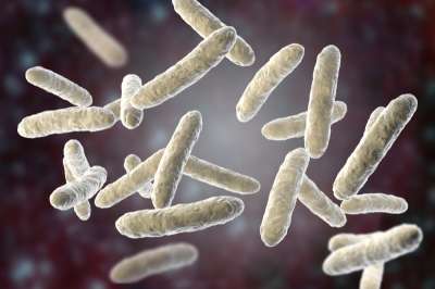 Современные исследования постоянно подтверждают, что состояние кишечного микробиома влияет на здоровье человека.