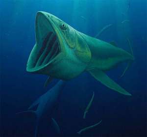 Реконструкция гигантской планктоядной рыбы Bonnerichthys, жившей 89–66 млн лет назад (в конце мелового периода) и вымершей вместе с динозаврами. Рис. Robert Nicholls, PalaeoCreations из дополнительных материалов к обсуждаемой статье в Science