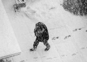 Снегопады в России. Фото: http://strana.ru