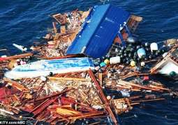 Япония заплатит $5 млн за принесенный к берегам США мусор. Фото: http://www.kursiv.kz