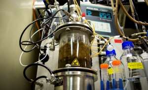 Экспериментальный биореактор, в котором бактерии и грибы разлагают растительный мусор с образованием изобутанола (фото Joseph Xu / Michigan Engineering Communications &amp; Marketing).