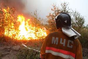 Лесные пожары. Фото: http://azerros.ru/