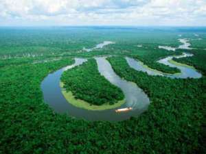 Амазония. Фото: http://waking-up.org