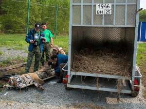 Зоологический заказник «Желундинский», май 2014 года. Фото: Пресс-служба Президента России