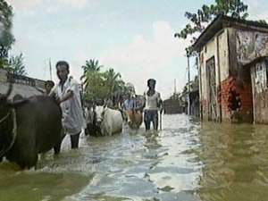 Наводнение в Африке. Фото: http://newsru.com