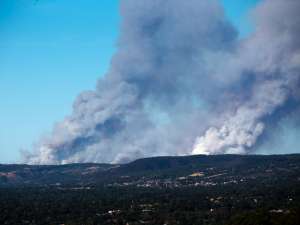 Сильнейший лесной пожар бушует на юге Австралии, подбираясь к Аделаиде, пятому по размерам городу страны. Фото: Global Look Press