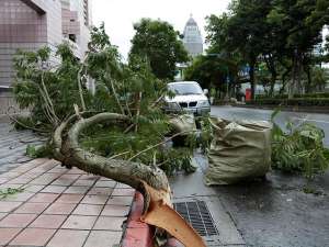 На Тайвань обрушился тайфун &quot;Дуцзюань&quot;