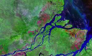 Устье реки Амазонки. © Wikipedia