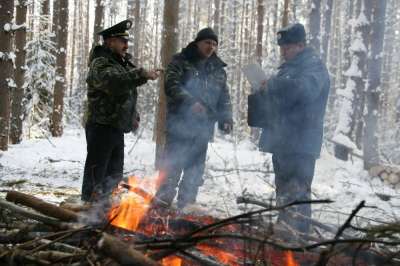 Защитные лесополосы необходимо вернуть в правовое поле. Фото: Владимир Смирнов/ РГ
