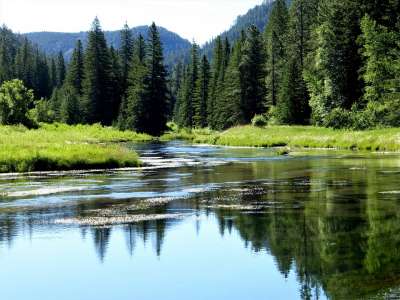 Международный день рек — в защиту больших и малых рек 