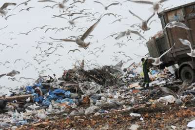 На территории страны сегодня размещено свыше 30 миллиардов тонн отходов. Фото: РИА Новости