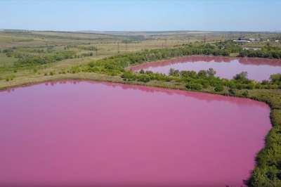 Озера выглядят неестественно розовыми